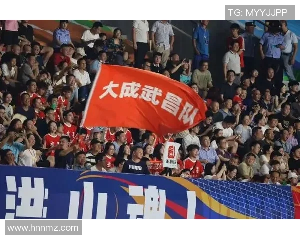 武汉足球队在城市联赛中的技术表现分析与点评