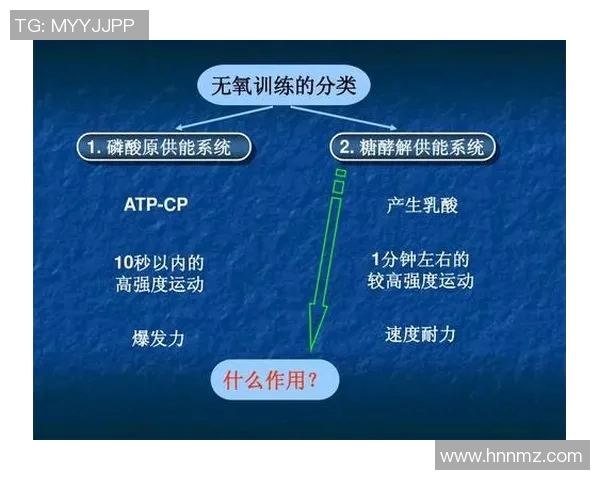 西安羽毛球队战术解析与控制体系的深度剖析与应用探讨