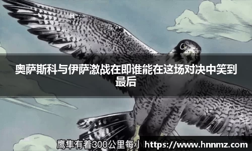 三亿体育平台