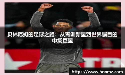 三亿体育